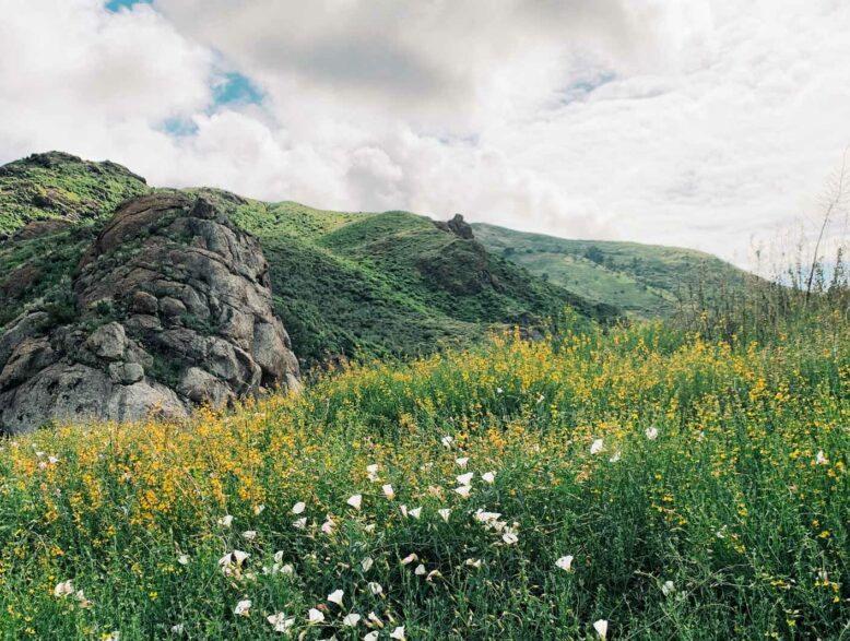 grassy mountainous field.