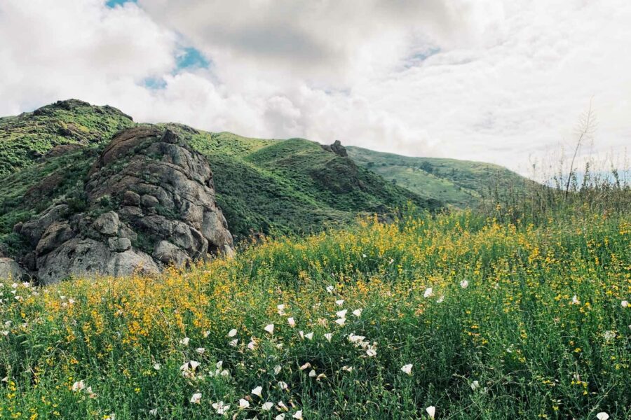 grassy mountainous field.