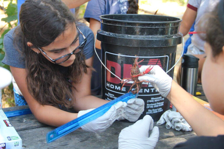 girl looking at crustacean on a table.