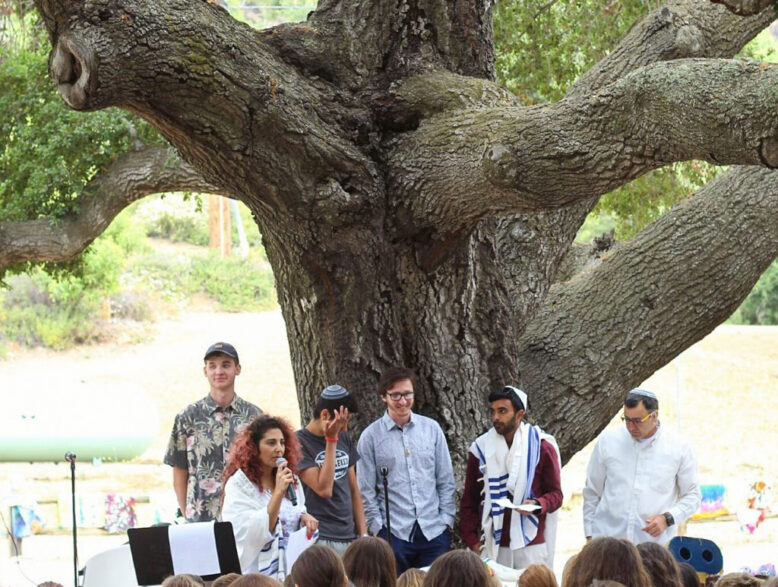 group of teams giving a presentation or performance to a crowd under a large tree.